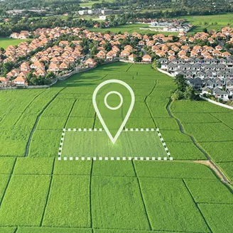 Prestige Autumn Plots 